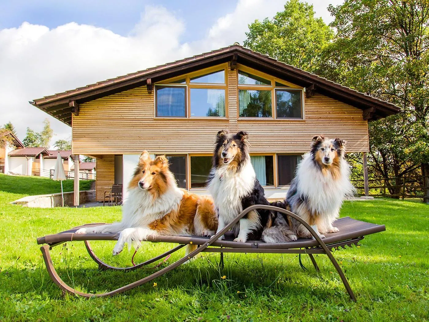 Gutshotel Feuerschwendt - Urlaub Mit Hund Neukirchen vorm Wald فندق